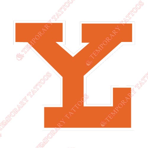 Yucatan Leones Customize Temporary Tattoos Stickers NO.8062
